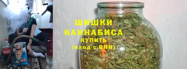 дмт Кодинск