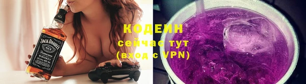 дмт Кодинск