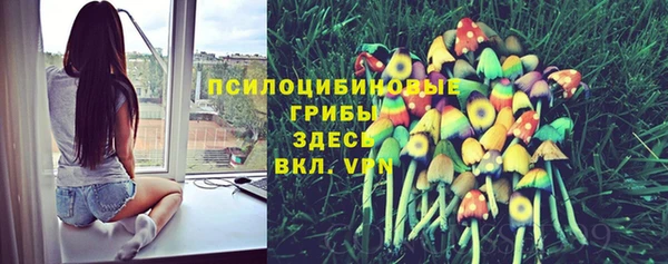 дмт Кодинск