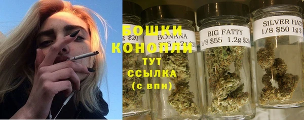 дмт Кодинск