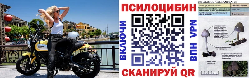 Купить закладки  Лениногорск  Псилоцибиновые грибы мухоморы 